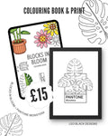 Blocks In Bloom & Pantone Monstera Bundle