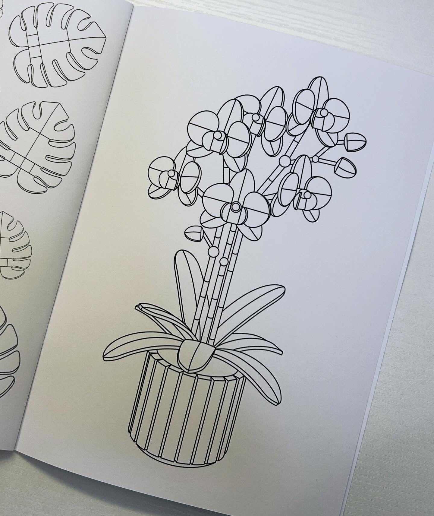 Blocks In Bloom - Colouring Book